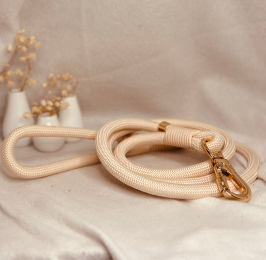 Leine / Anhänger Bundle / Grün