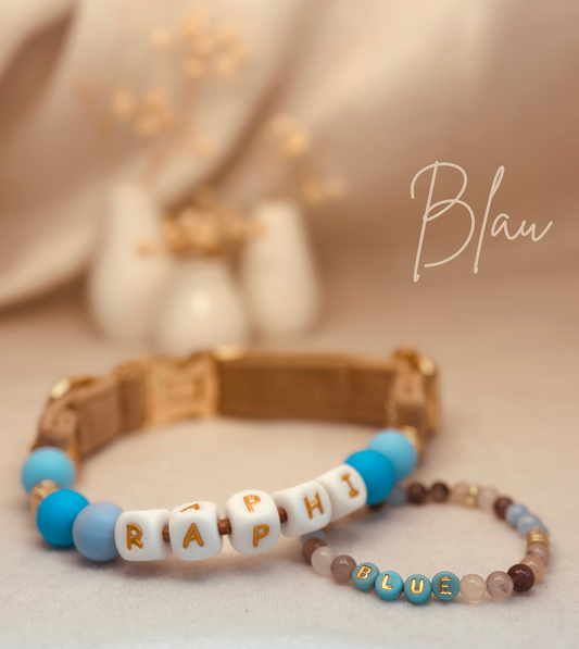 Pawfect Match Bundle / M / 30 - 35 cm / 4 Farben