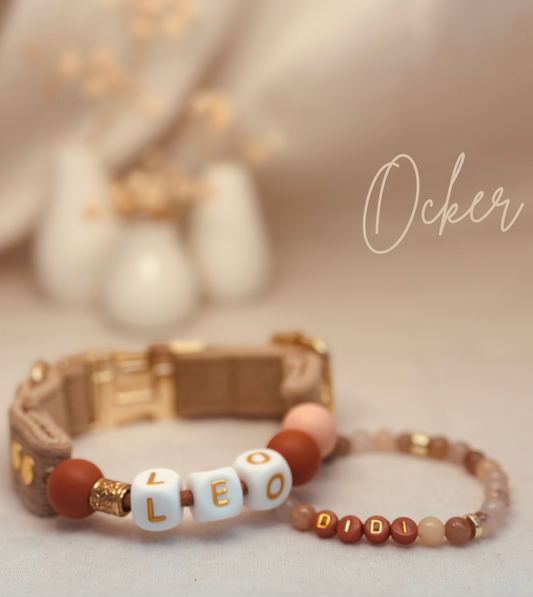 Pawfect Match Bundle / S / 25 - 27 cm / 4 Farben