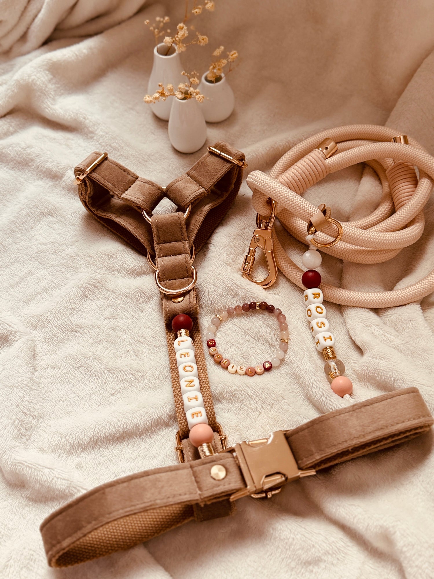 Pawfect Match Bundle Deluxe