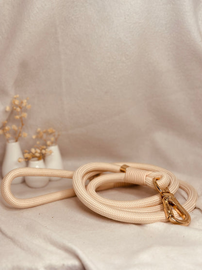 Pawfect Match Bundle / L / 35 - 40 cm / 4 Farben