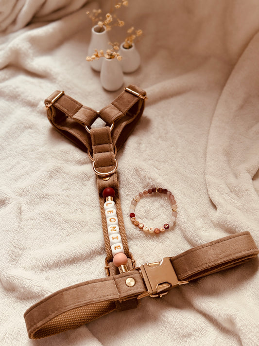 Geschirr / Armband Bundle / S / 5 Farben