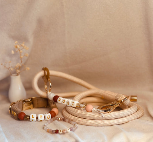 Pawfect Match Bundle / S / 25 - 27 cm / 4 Farben