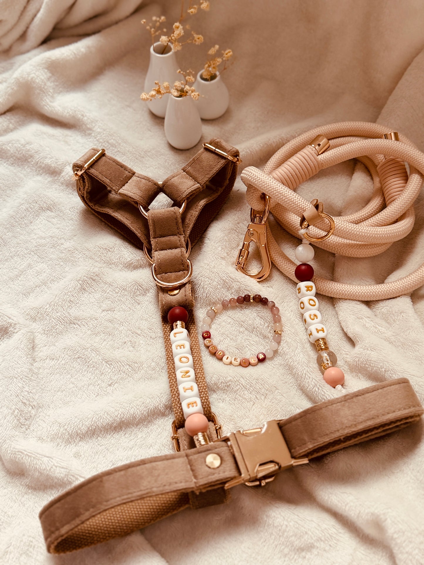 Pawfect Match Bundle Deluxe / XL / 5 Farben