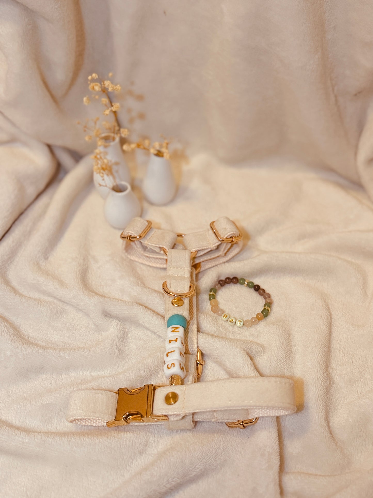 Geschirr / Armband Bundle / S / 5 Farben